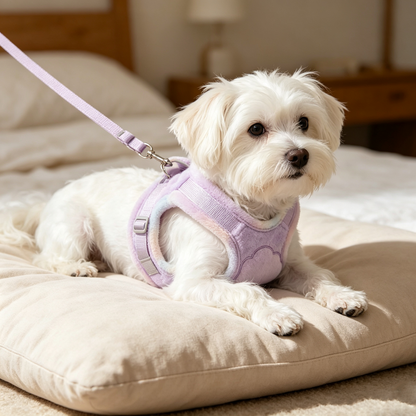 Fuzzy Purple Cloud Plush Pet Harness